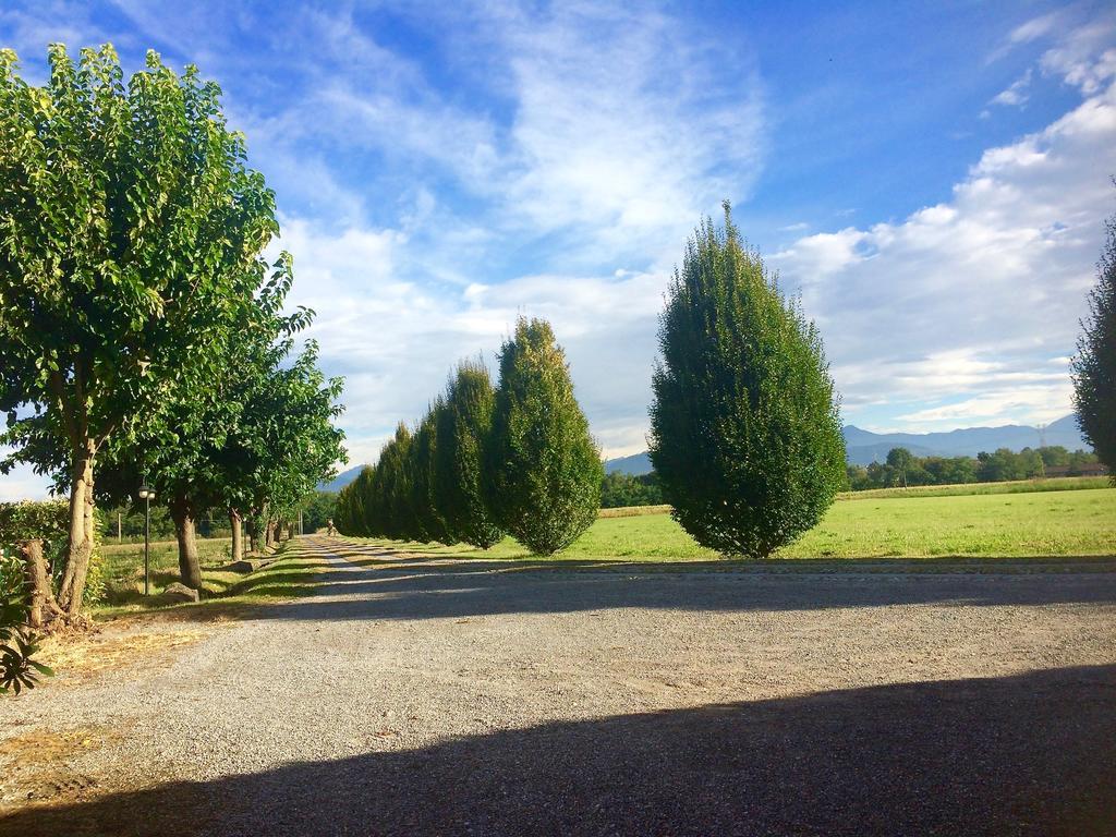 Agriturismo Ca Del Lupo Pallazzolo sullʼOglio Εξωτερικό φωτογραφία